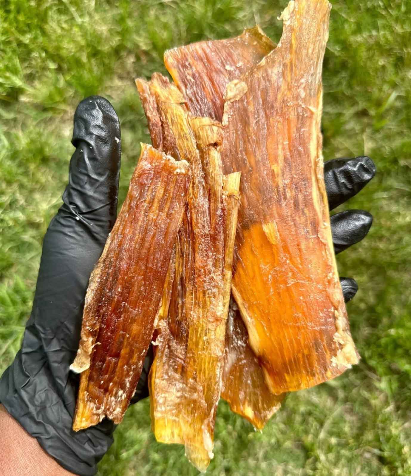 Back Strap (4pcs) - Image 2