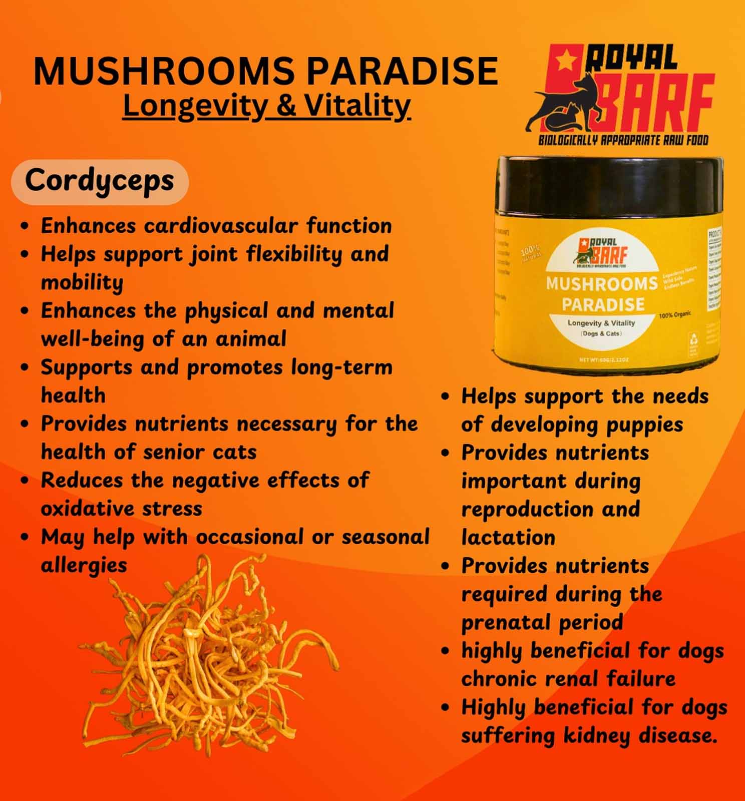 Mushrooms Paradise - Image 10