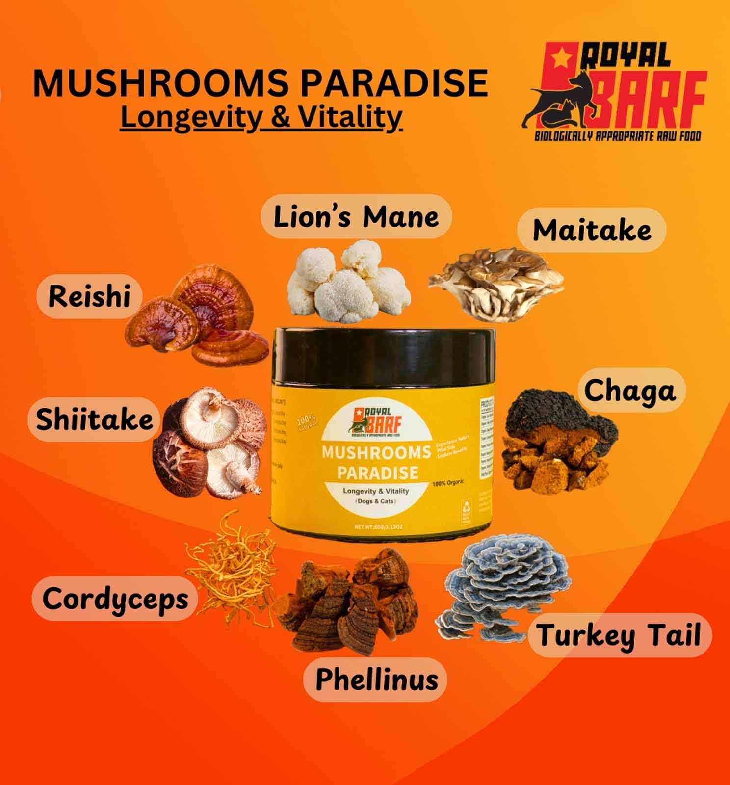 Mushrooms Paradise - Image 2
