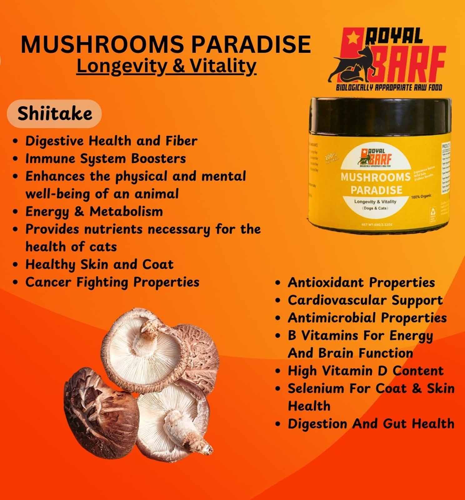 Mushrooms Paradise - Image 3