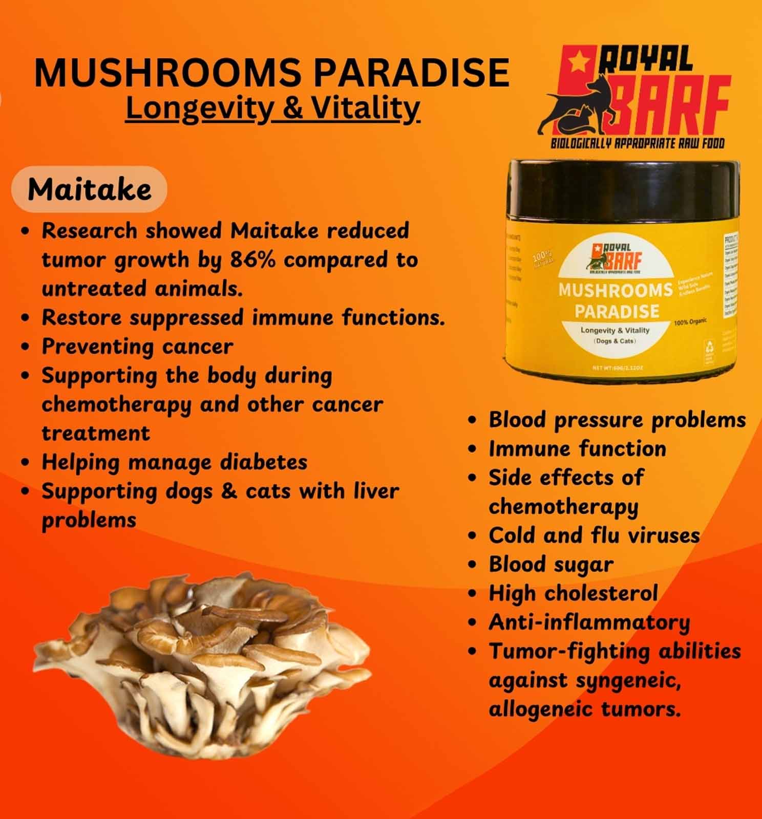 Mushrooms Paradise - Image 4