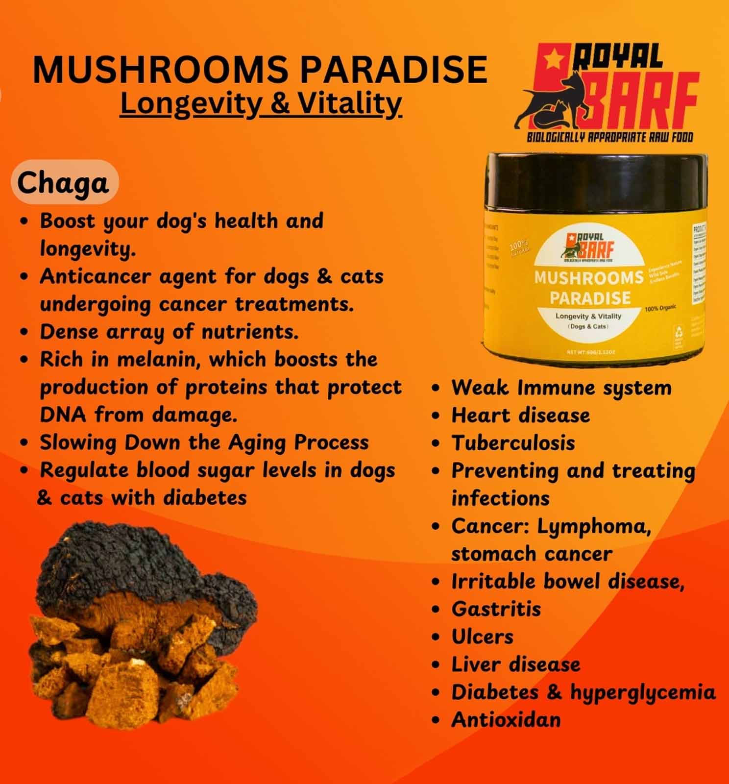 Mushrooms Paradise - Image 5