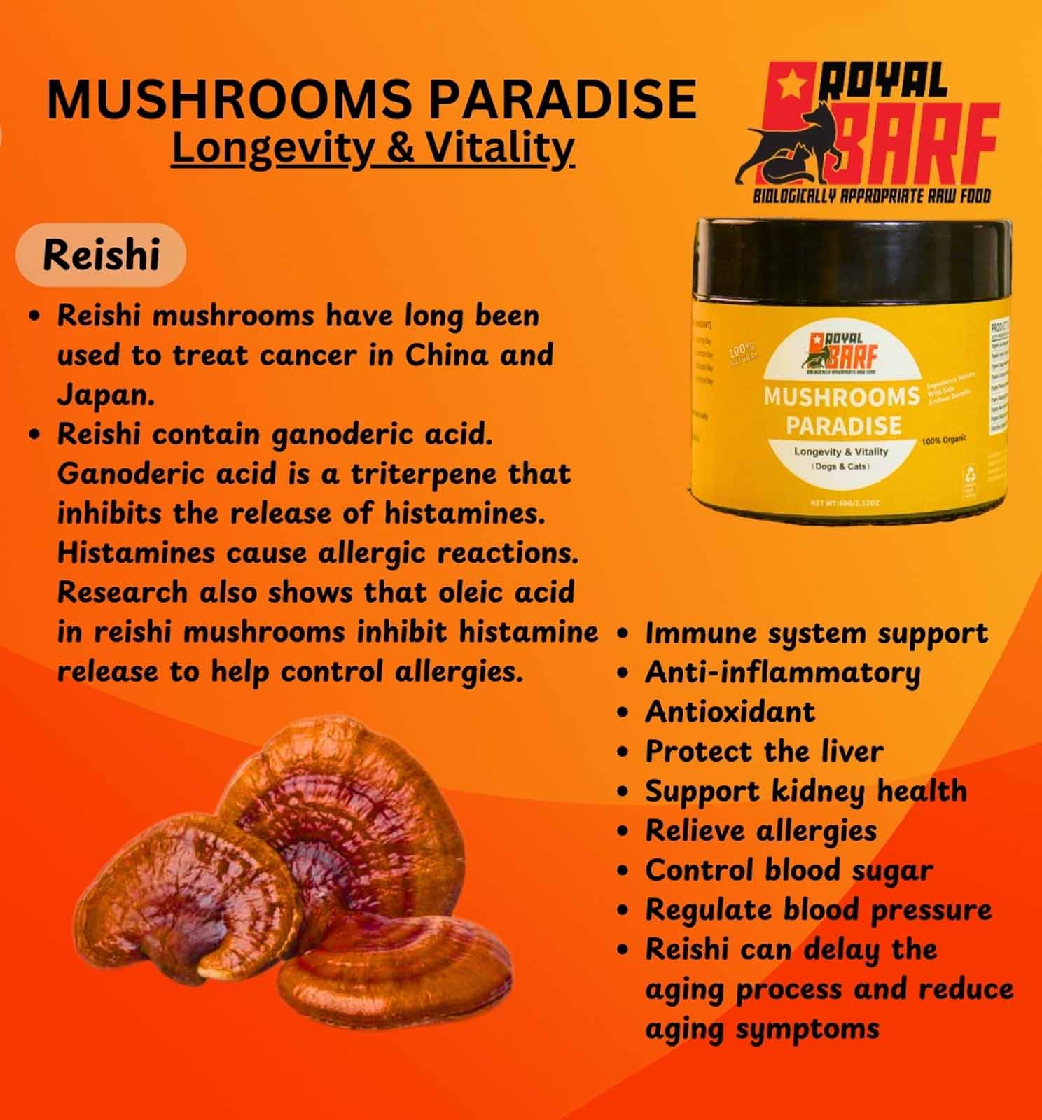 Mushrooms Paradise - Image 6