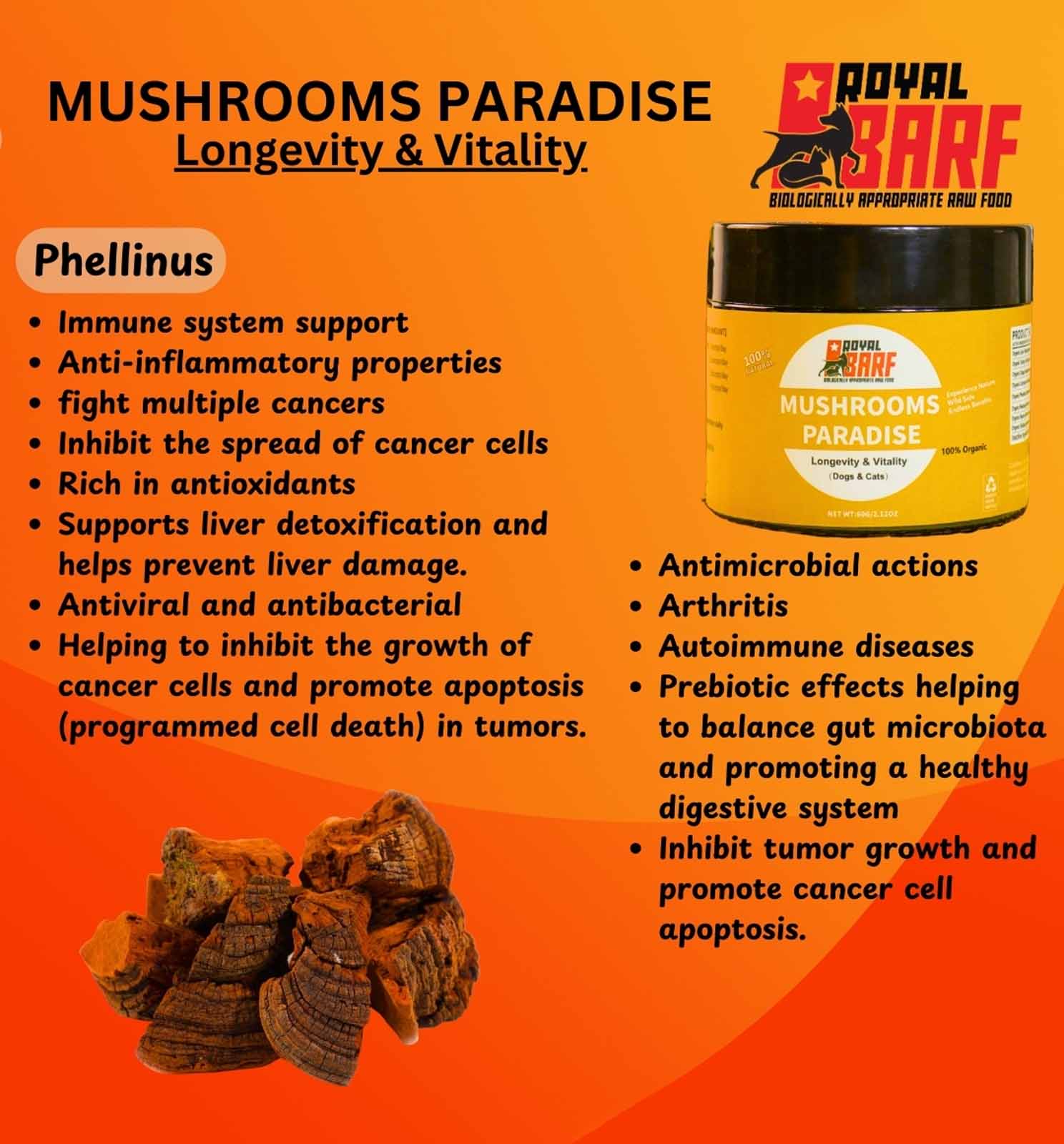 Mushrooms Paradise - Image 7