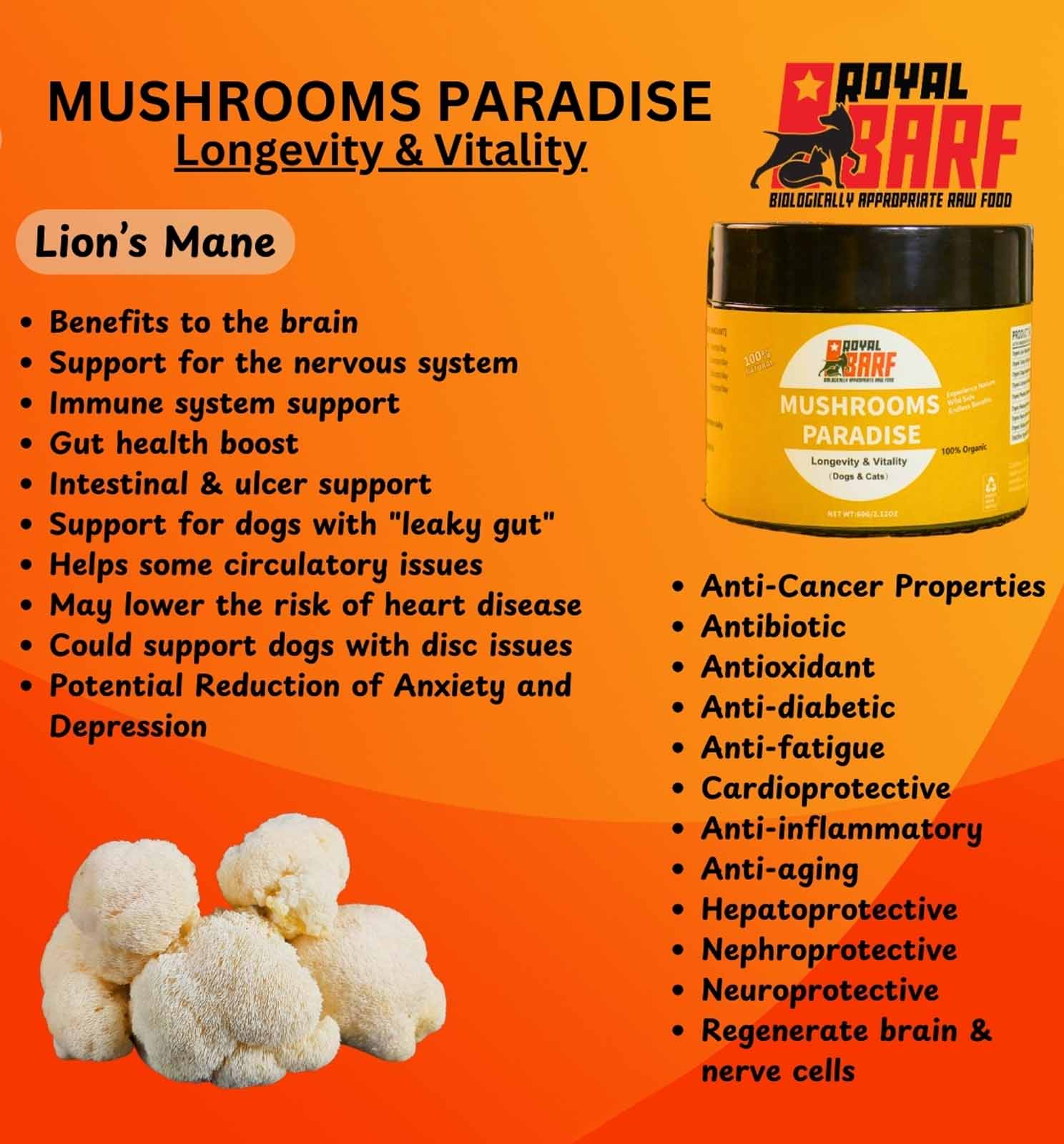 Mushrooms Paradise - Image 8