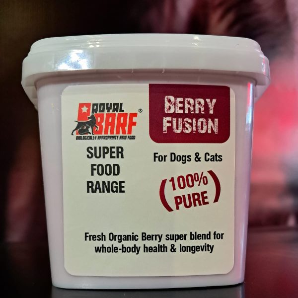 WhatsApp Image 2025-05-08 at 8.25.13 PM