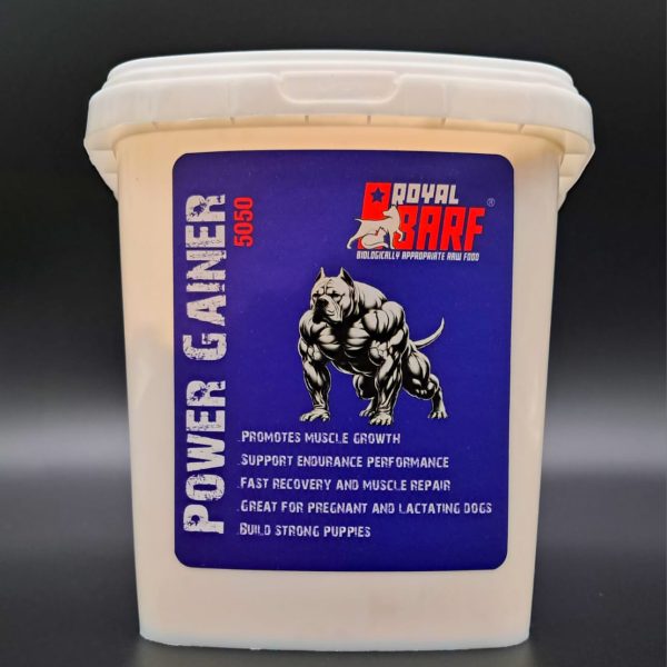 WhatsApp Image 2025-05-11 at 8.48.13 AM